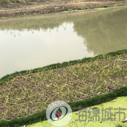 连云港市生态浮岛设计 绿化效果图 生态浮岛人工湿地约35.00元(图2)