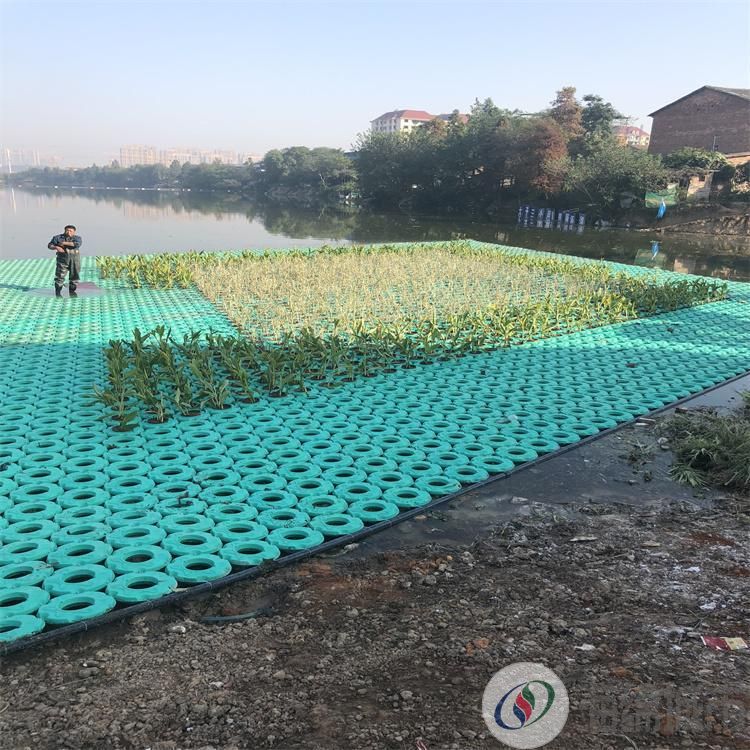 连云港市生态浮岛设计 绿化效果图 生态浮岛人工湿地约35.00元(图16)