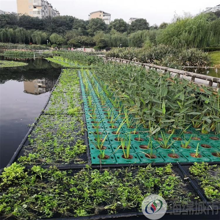 连云港市生态浮岛设计 绿化效果图 生态浮岛人工湿地约35.00元(图22)