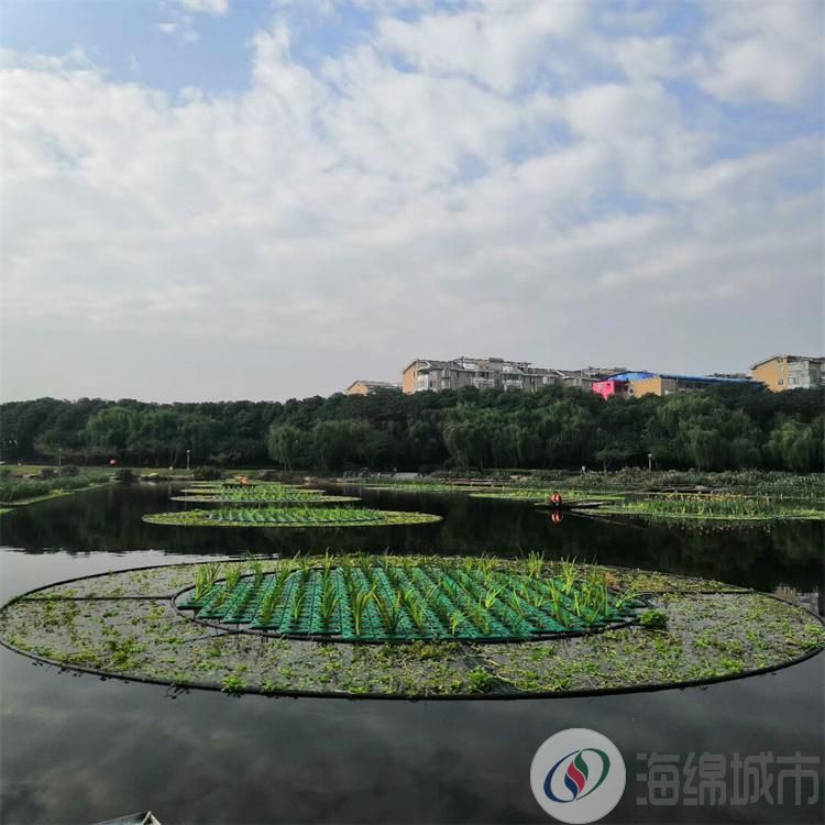 连云港市生态浮岛设计 绿化效果图 生态浮岛人工湿地约35.00元(图21)