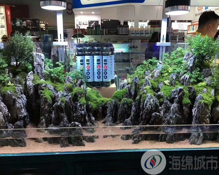 锦州市生态雨林缸工程 自循环生态系统 造型美观约100.00元(图1)