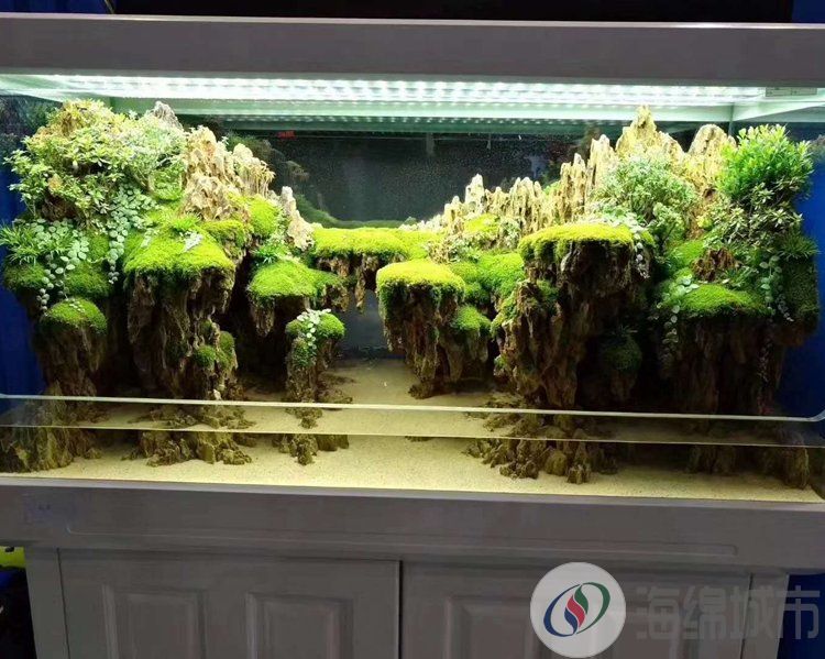 锦州市生态雨林缸工程 自循环生态系统 造型美观约100.00元(图4)