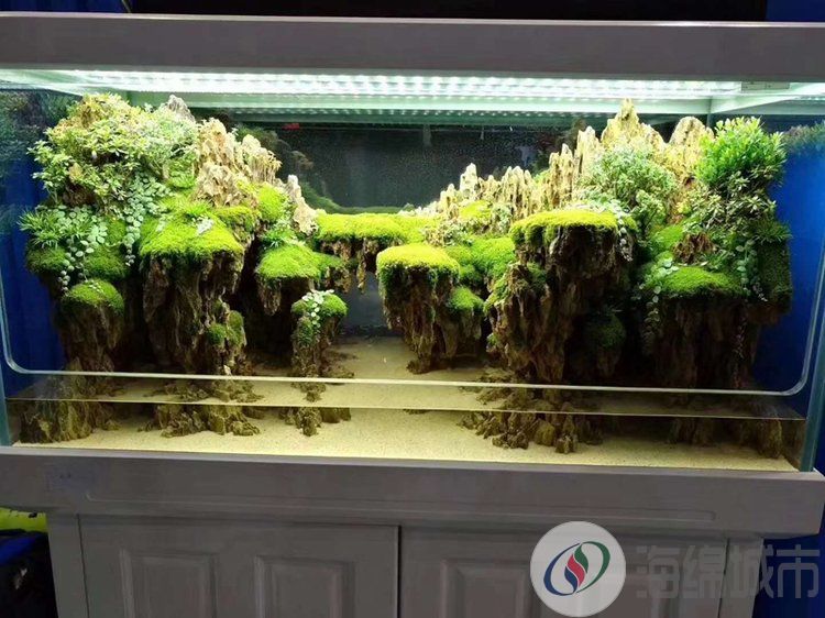 锦州市生态雨林缸工程 自循环生态系统 造型美观约100.00元(图7)
